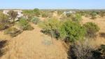 1 ha Land available in Leeuwfontein