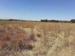 Blue Saddle Ranches Plot For Sale