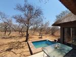 R10,800 2 Bed Hoedspruit Wildlife Estate House To Rent