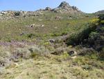Tulbagh Plot For Sale