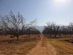 2 Bed Hartebeesfontein Farm For Sale