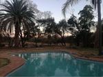 8 Bed Bultfontein Smallholding For Sale
