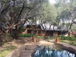 13 Bed Hekpoort Smallholding For Sale