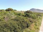1501 m² Land available in Pringle Bay