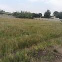 995 m² Land available in Dunnottar