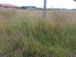 623 m² Land available in Jameson Park