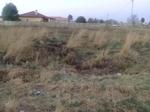 1982 m² Land available in Jameson Park