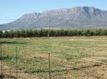 1081 m² Land available in Prince Alfred Hamlet