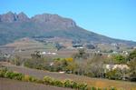 24 ha Farm in Stellenbosch Agricultural