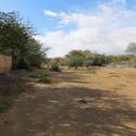 1184 m² Land available in Prince Albert