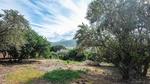 1496 m² Land available in Wilderness