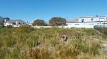 600 m² Land available in Pringle Bay