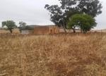 1987 m² Land available in Citrusdal