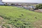479 m² Land available in Saldanha