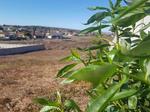 800 m² Land available in Vredenburg