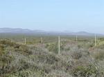 816 m² Land available in Yzerfontein