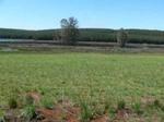 3554 m² Land available in Albert Falls