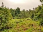 8760 m² Land available in Hilton