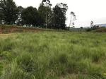 3474 m² Land available in Balgowan