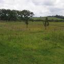 9576 m² Land available in Mooi River