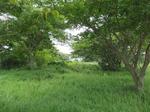 1254 m² Land available in Mtunzini