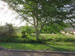 1664 m² Land available in Mtunzini