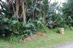 1105 m² Land available in Leisure Bay