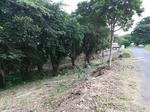 6556 m² Land available in Sea Park