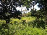 3806 m² Land available in Marburg