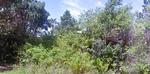 1352 m² Land available in Palm Beach