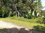 1464 m² Land available in Palm Beach