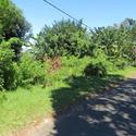 1513 m² Land available in Palm Beach