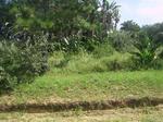 3205 m² Land available in Palm Beach
