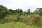 1813 m² Land available in Palm Beach