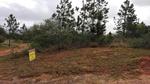 4774 m² Land available in Palm Beach