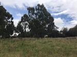 2155 m² Land available in Dullstroom