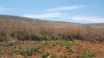 889 m² Land available in Dullstroom