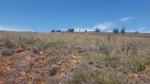 984 m² Land available in Dullstroom