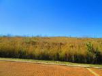 1089 m² Land available in Dullstroom