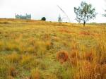1156 m² Land available in Dullstroom