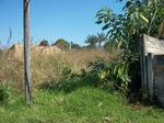 1115 m² Land available in Graskop