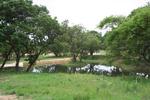 2211 m² Land available in Hazyview