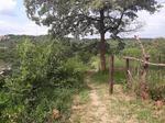 1159 m² Land available in Hazyview