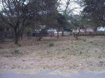 719 m² Land available in Hazyview