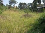 8000 m² Land available in Hazyview