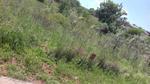 900 m² Land available in Hartbeesfontein