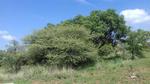 1035 m² Land available in Hartbeesfontein
