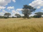 1000 m² Land available in Stella