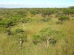 44.8 ha Land available in Kwelera