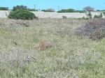 897 m² Land available in Riversbend